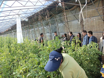 我校開展市校推進鄉(xiāng)村振興農(nóng)業(yè)農(nóng)村領(lǐng)域項目中期檢查工作