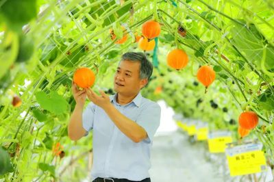 把論文寫在大地上 農(nóng)業(yè)科技工作者的深耕與奉獻
