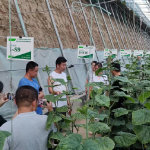 中國農(nóng)業(yè)科學院蔬菜花卉研究所 推動農(nóng)業(yè)技術(shù)創(chuàng)新的前沿力量