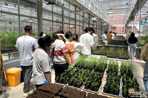 生命科學與微生物技術研究院師生深入青島清原農冠，共探農業科技前沿